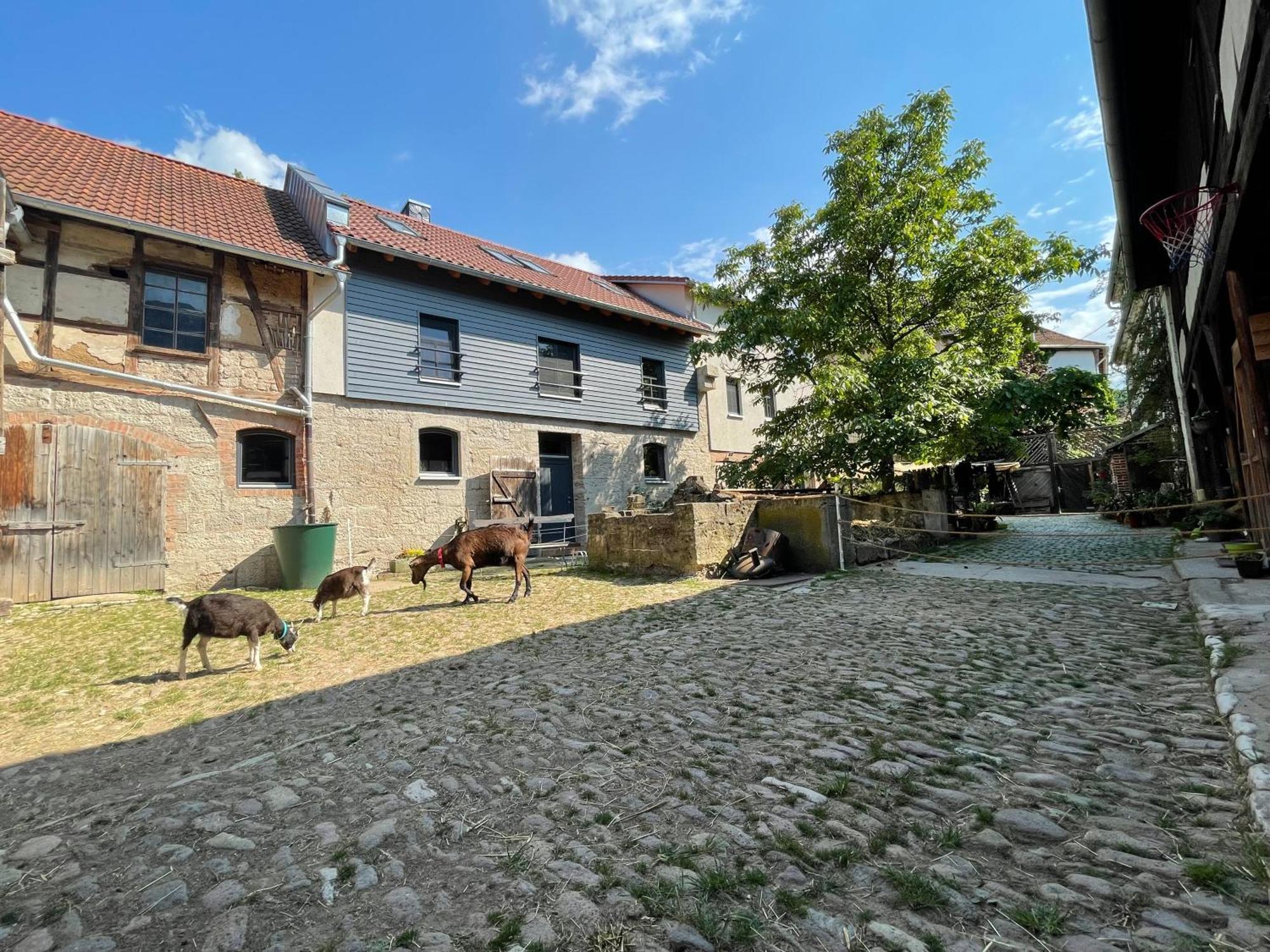 Ferienhof"Waldesel Rippersroda" Exterior foto