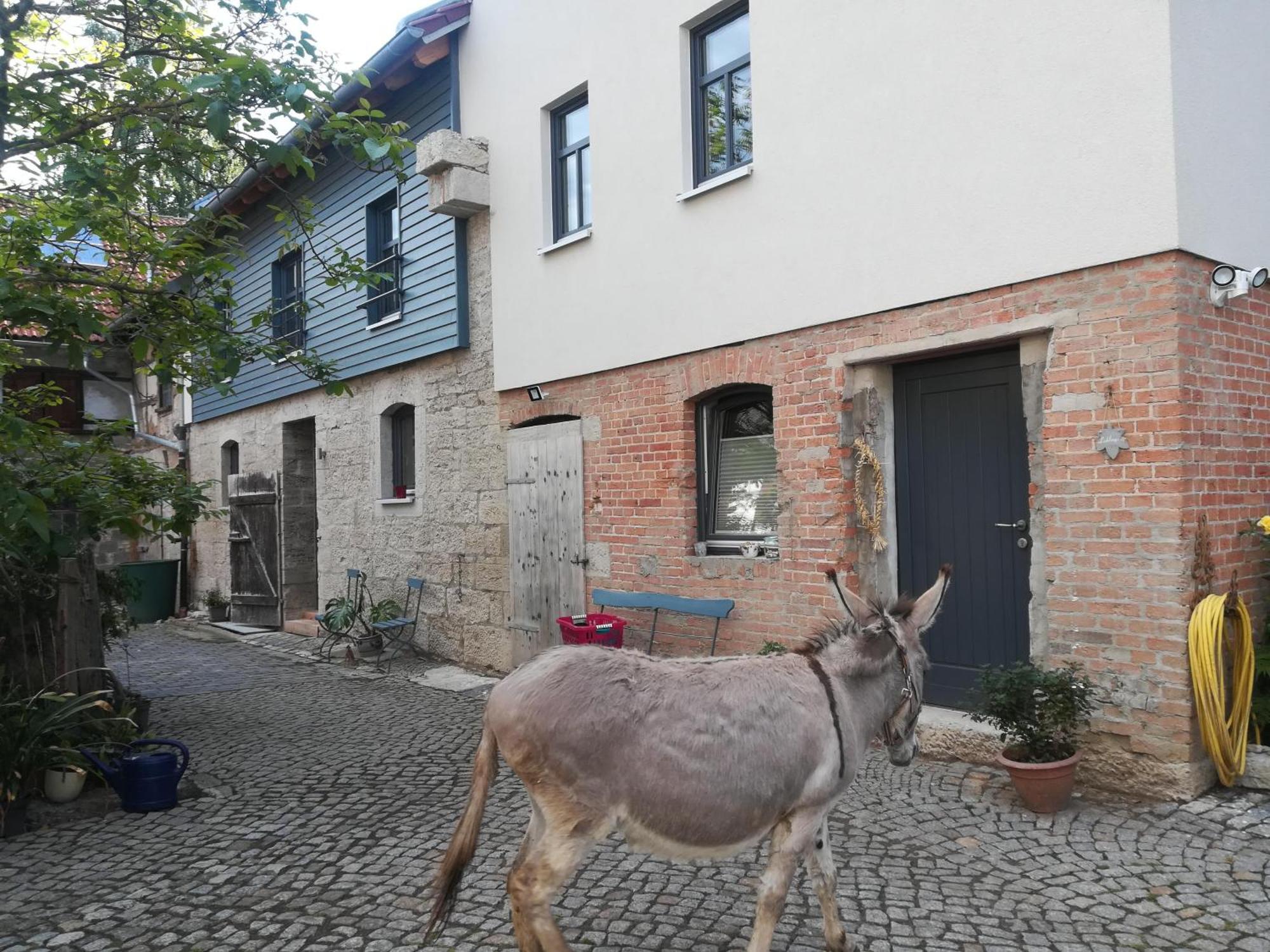Ferienhof"Waldesel Rippersroda" Exterior foto