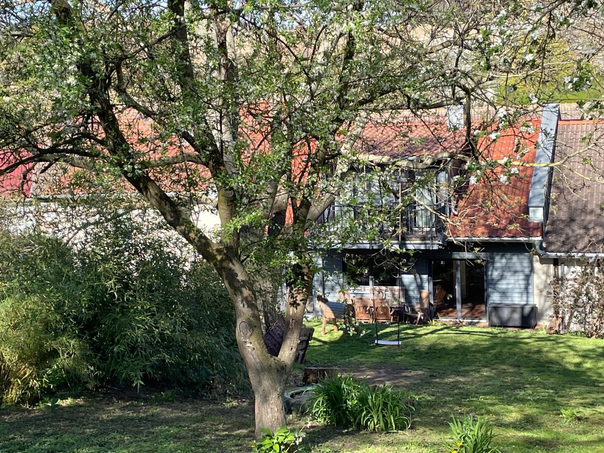 Ferienhof"Waldesel Rippersroda" Exterior foto
